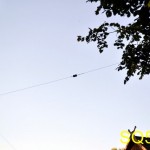 zawady2013 (17)